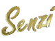 Senzi