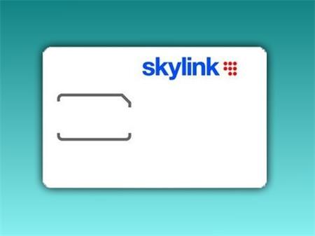 Karta Skylink Standard HD Irdeto